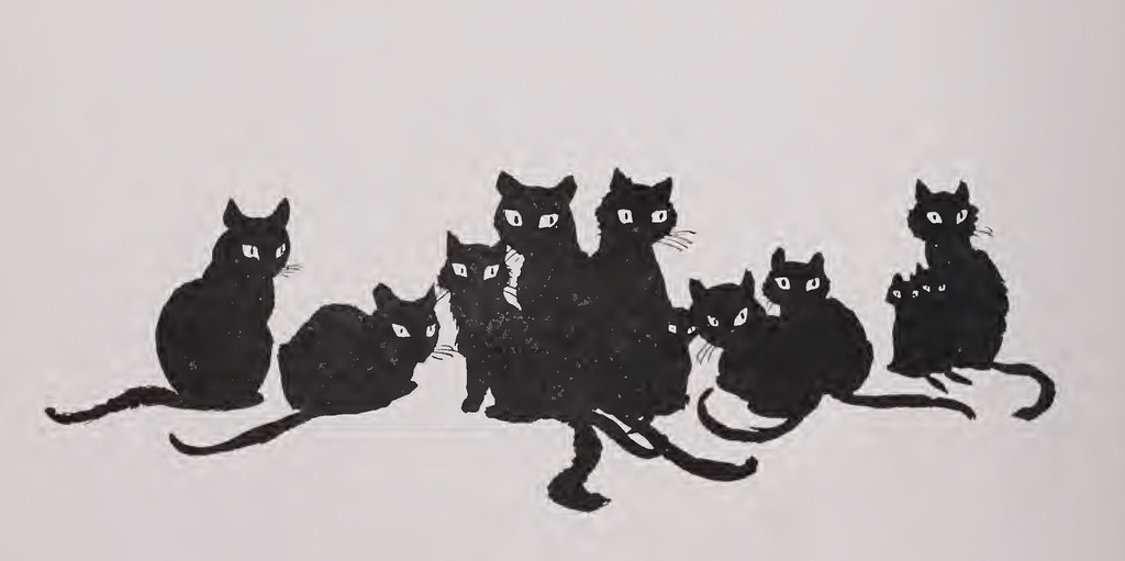 A Day in the Life of Our Quality Control Cat