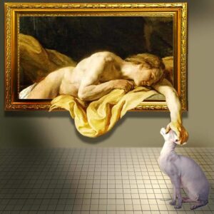 A cat, illustrating Shelf Climber Wall Set