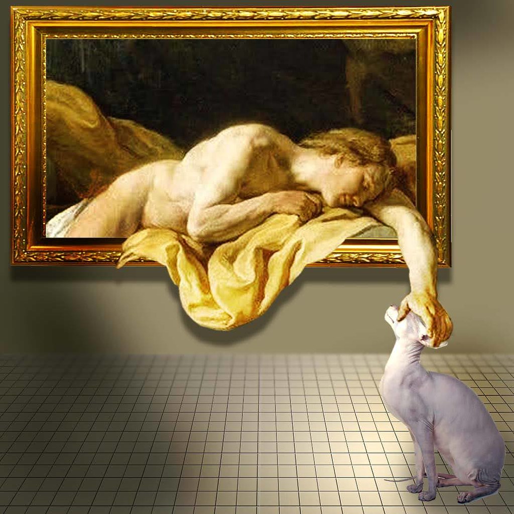 A cat, illustrating Shelf Climber Wall Set