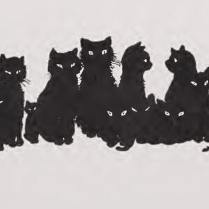 A cat, illustrating Window Ledge Cushion Pro